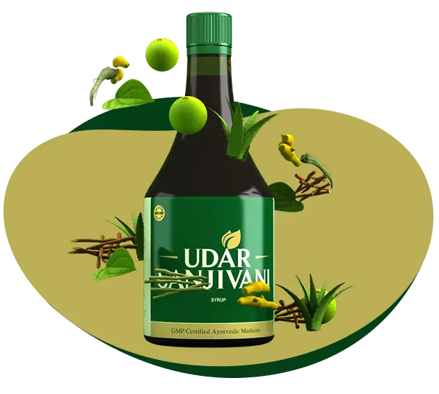HOW UDAR SANJIVANI WORKS